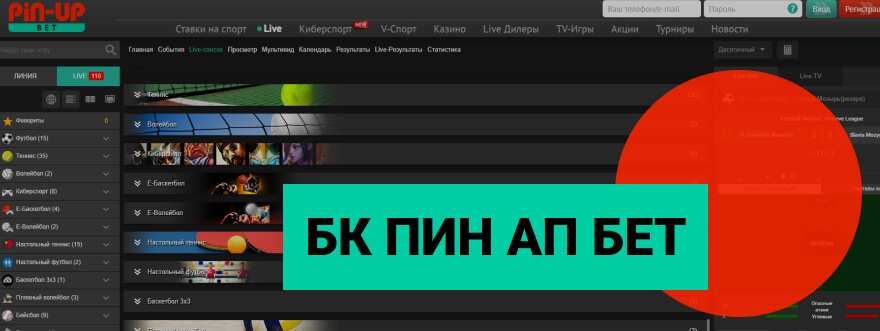 Пин Ап сайт